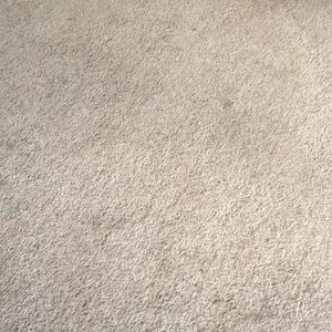 Meet your Posher, Carly